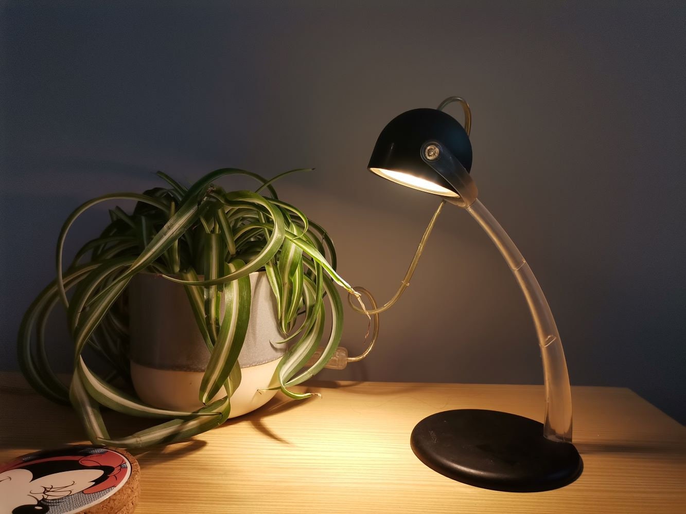 Philips desk lamp LED