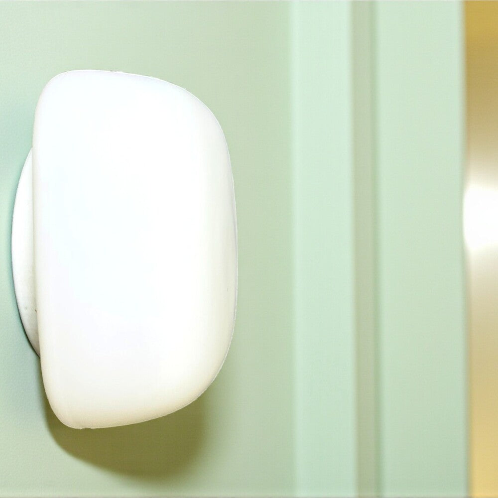 Flush Mount Light