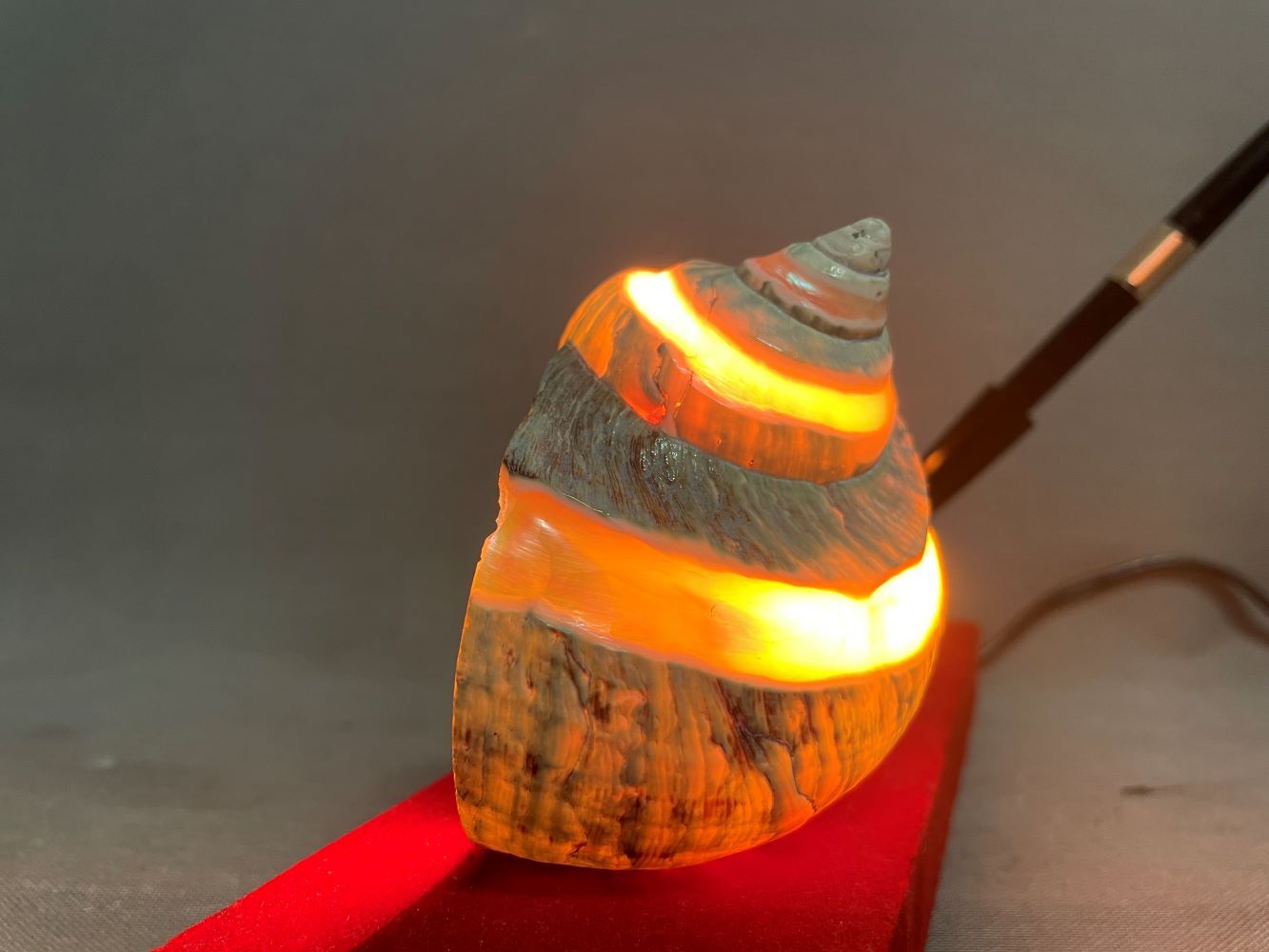 Nautical desk lamp pen set