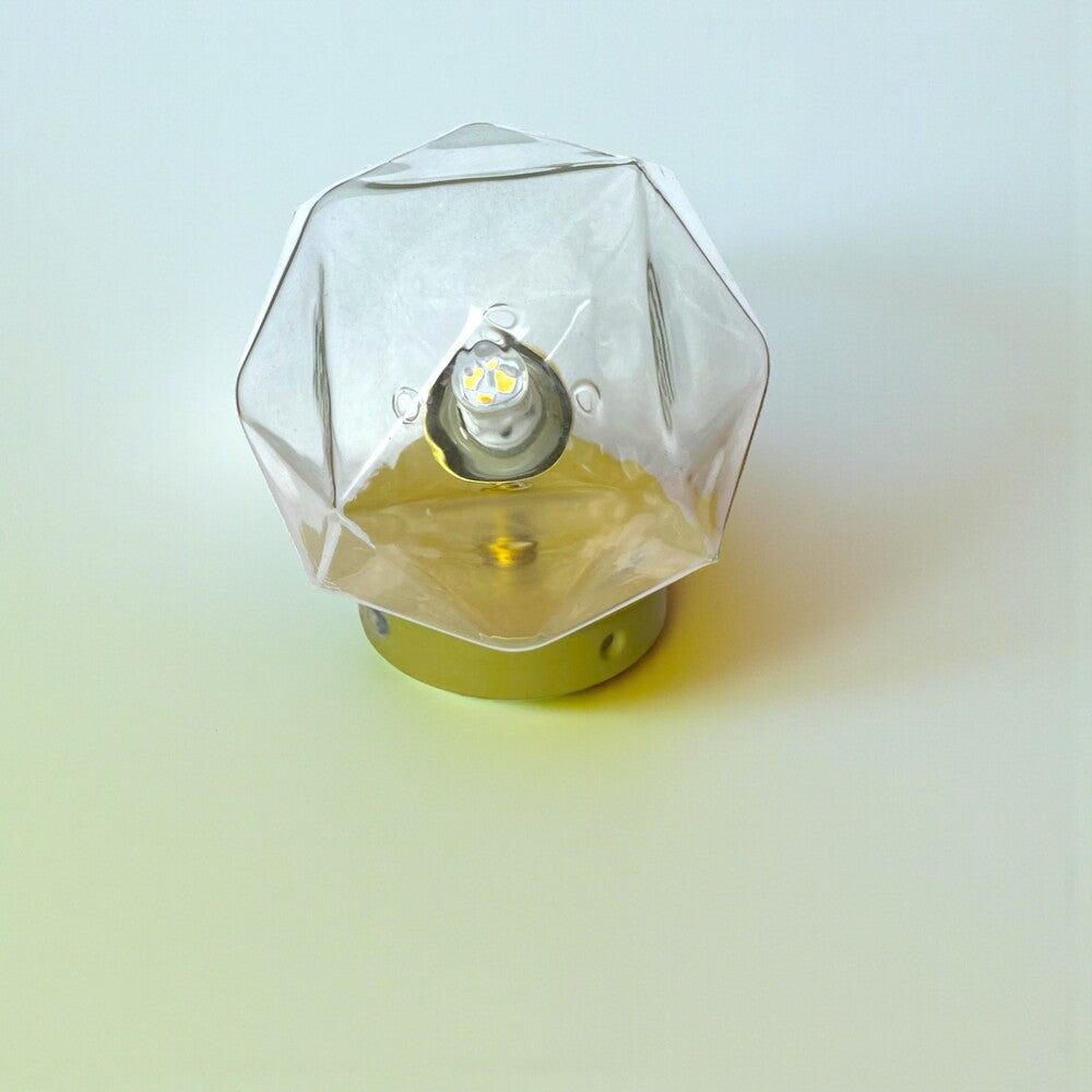 Adjustable Wall Sconce