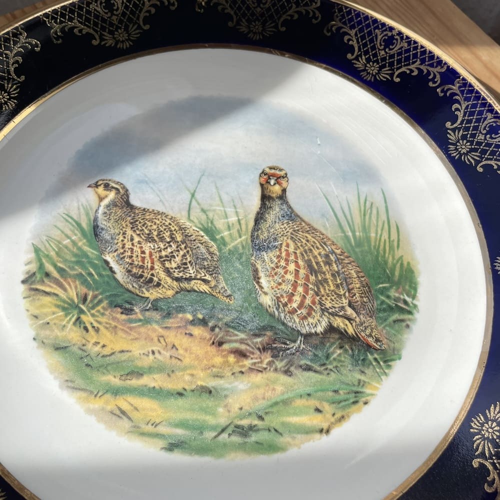 1972 Weatherby Royal Falcon Ware decorative plate