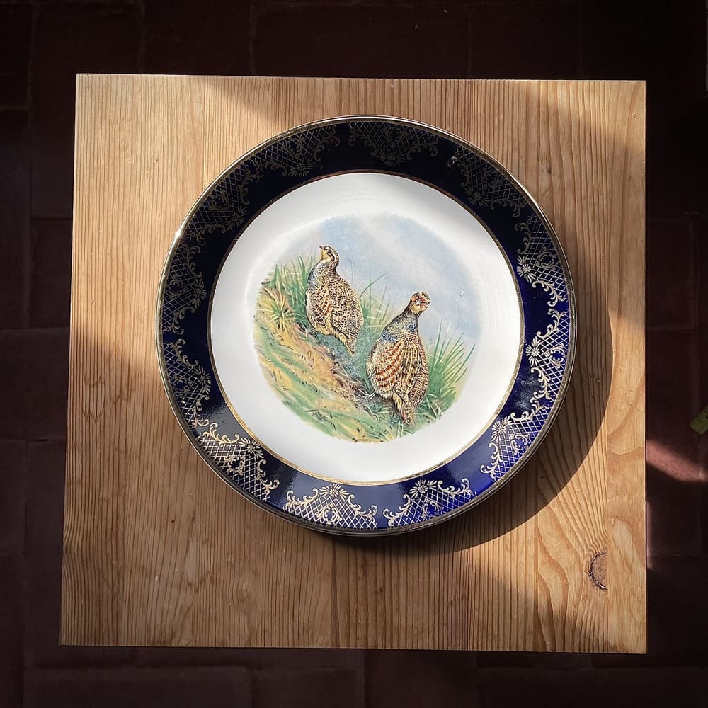 1972 Weatherby Royal Falcon Ware decorative plate