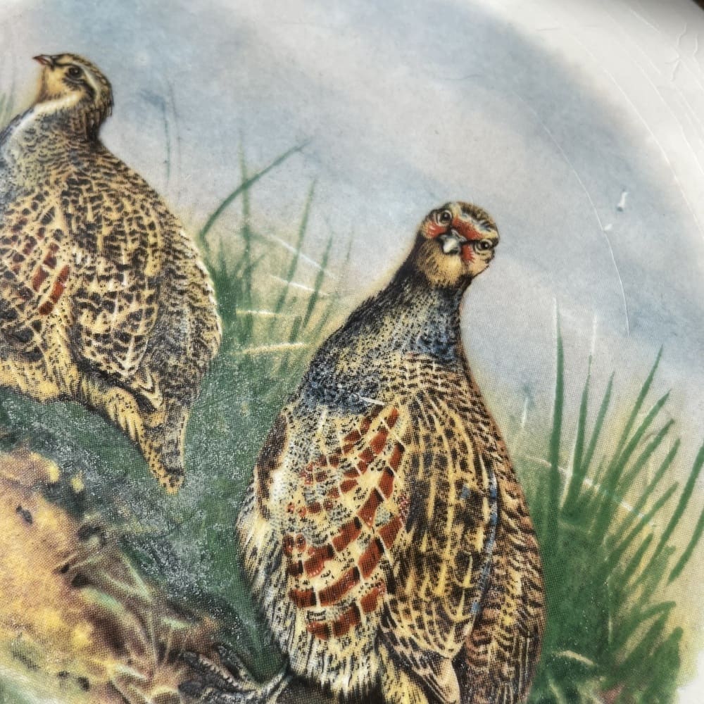 1972 Weatherby Royal Falcon Ware decorative plate