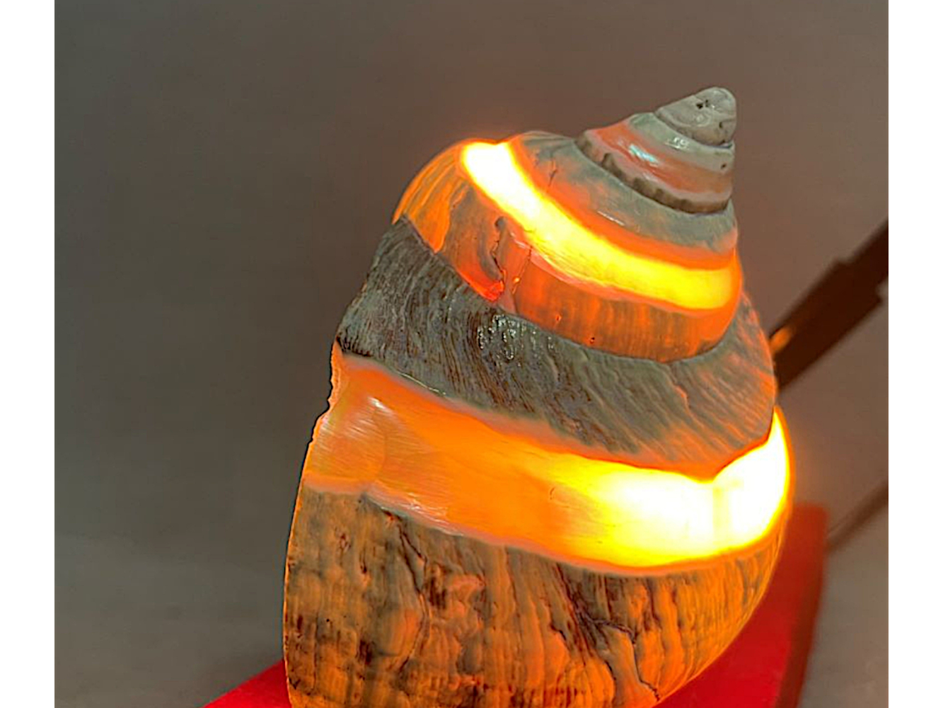 Nautical desk lamp pen set