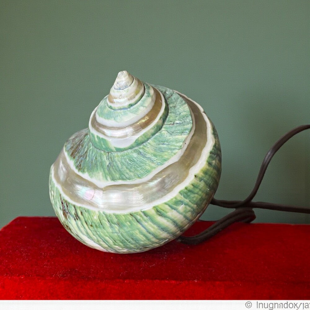 Nautical desk lamp pen set