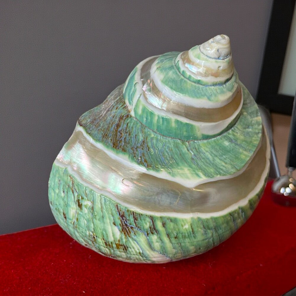 Nautical desk lamp pen set