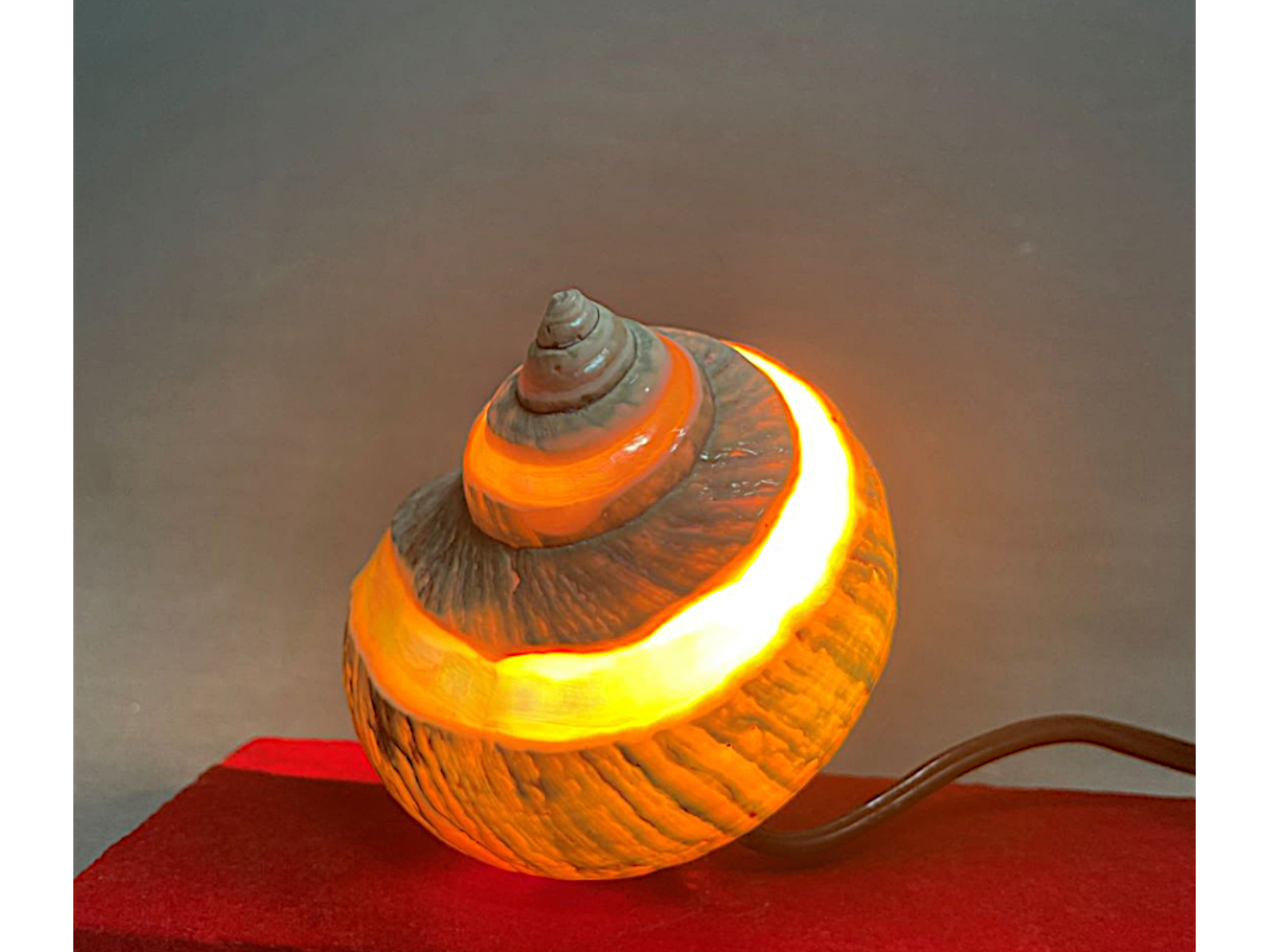 Nautical desk lamp pen set