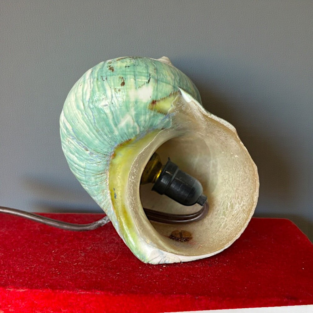 Nautical desk lamp pen set