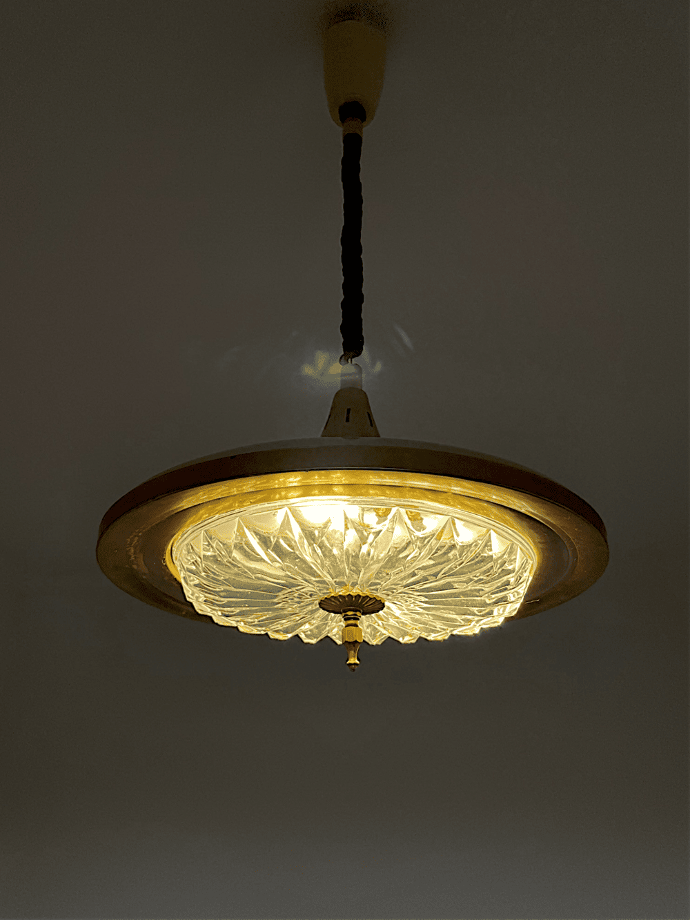 Vintage Rettractable Pendant Light