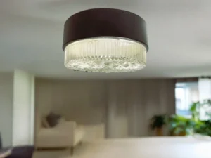 Philips flush mount lamp